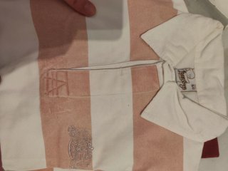 Lote 15 polos y un jersey,marcas y tallas variadas