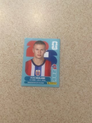 Cromo Haaland Mundial FIFA Panini