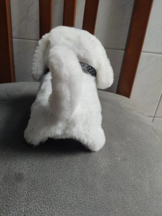 Perrito andarín
