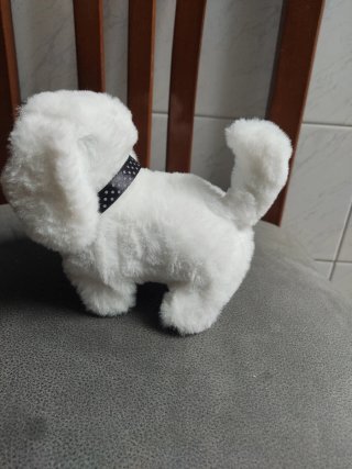 Perrito andarín