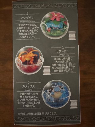 Re-Ment Pokémon Terrarium Collection 15 Charizard