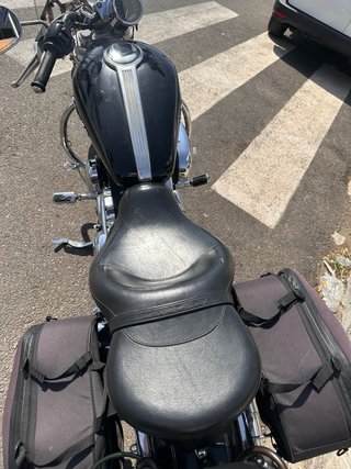 Harley-Davidson Sportster 1200 Custom XL1200C