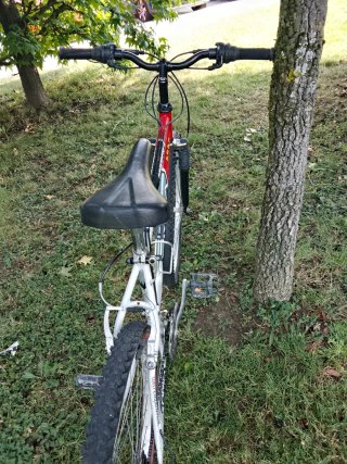 Bicicleta Montaña Orbea Mustang Rueda 26