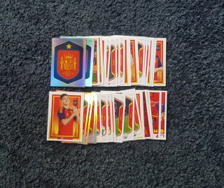 46 CROMOS. SELECCIÓN  ESPAÑOLA CARREFOUR.