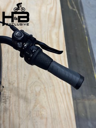 Cube Supreme RT Hybrid Pro 625 Shimano Nexus 2024