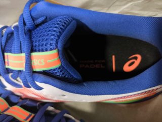 Zapatillas Asics Gel-Challenger