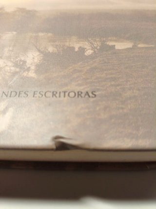 Orgullo y prejuicio