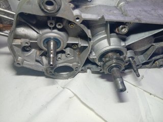 Motor Derbi Variant Star World Champions