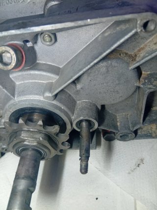 Motor Derbi Variant Star World Champions