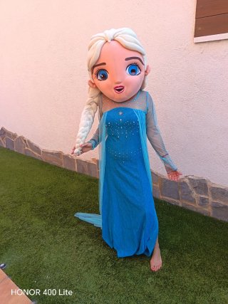 Disfraz Elsa Frozen Talla Única