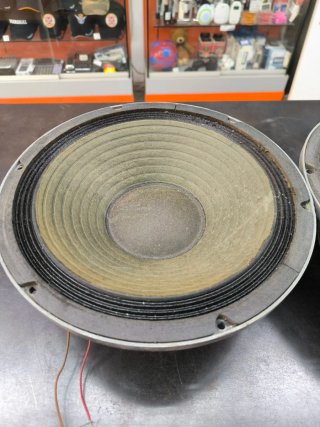 Pareja Altavoces Acoustic Control 12.5 8Ohms