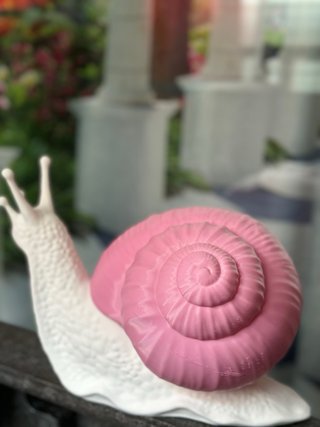 Lámpara Caracol Rosa