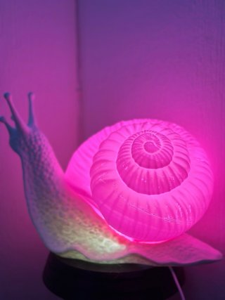 Lámpara Caracol Rosa