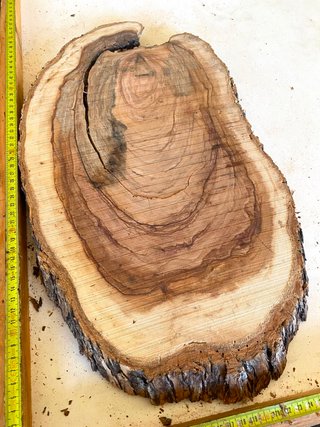 Tabla Madera Olivo Milenario para Resina