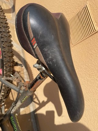 Bicicletas Trek y TNT