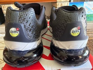 Nike Air Max Phoenix Originales