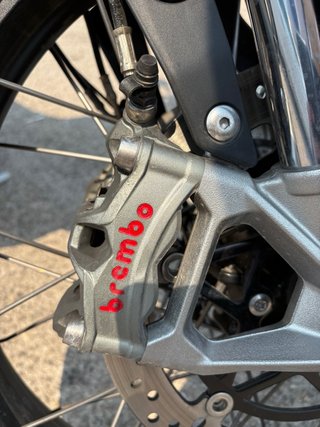 Triumph Tiger Rally Pro - Como Nueva