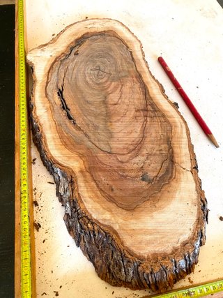 Tabla Madera Olivo Milenario para Resina