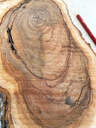 Tabla Madera Olivo Milenario para Resina