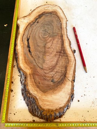 Tabla Madera Olivo Milenario para Resina