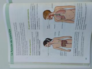Ciencias de la naturaleza, 4 Primaria Saber Hac...