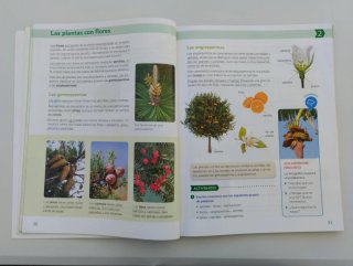 Ciencias de la naturaleza, 4 Primaria Saber Hac...