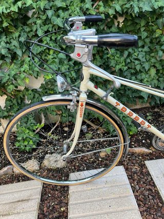 Bici antigua Torrot