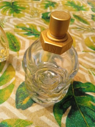Flaconi di Profumo Vuoti Collezione