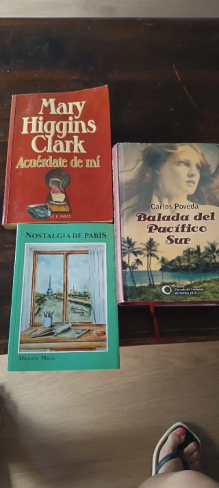 Lote 12 Libros: Novela, Clásicos y Más