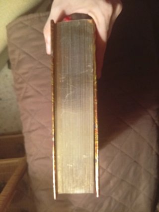 Lote de libros de Gerónimo Stilton