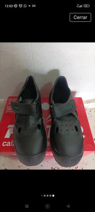 Zapatos de seguridad Panter negros