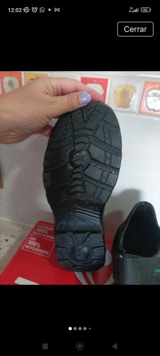 Zapatos de seguridad Panter negros