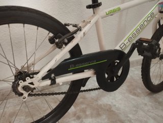 Bicicleta infantil 20 (6-9 años)