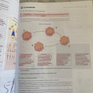 Biología, Geología y Ciencias Ambientales. 1 Ba...
