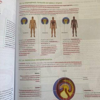 Biología, Geología y Ciencias Ambientales. 1 Ba...