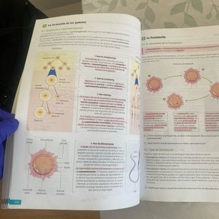 Biología, Geología y Ciencias Ambientales. 1 Ba...
