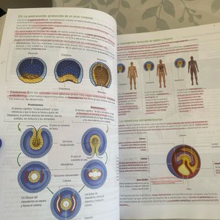 Biología, Geología y Ciencias Ambientales. 1 Ba...