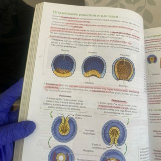 Biología, Geología y Ciencias Ambientales. 1 Ba...