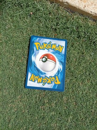 Carta Pokémon Charizard EX