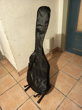 Guitarra Eléctrica Verde y Negra