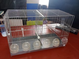 Jaula para canarios y pájaros