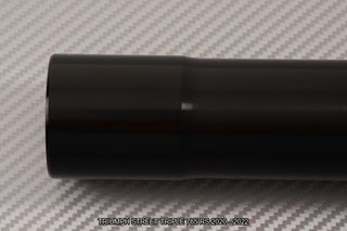 Vainas horquilla TRIUMPH STREET TRIPLE 765 RS 2020
