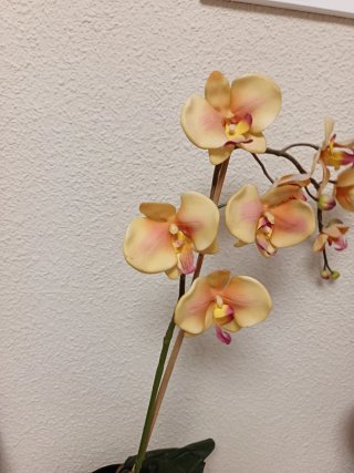 Flor artificial orquídea rosa y amarilla