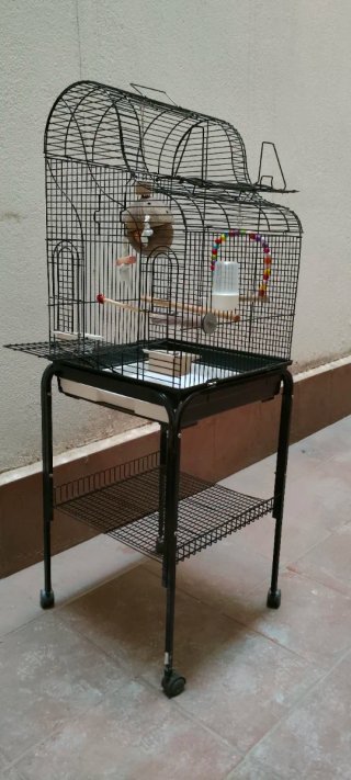 Jaula Agapornis/Ninfas+ Soporte-Ruedas 55€
