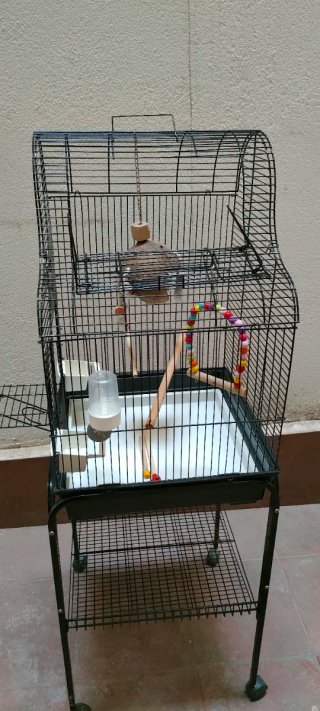 Jaula Agapornis/Ninfas+ Soporte-Ruedas 55€