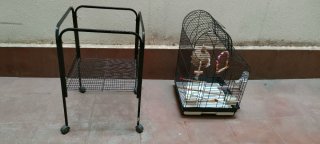 Jaula Agapornis/Ninfas+ Soporte-Ruedas 55€