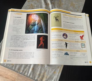 Llengua catalana, 1 ESO
