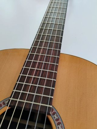 Guitarra Clásica Godin Collection