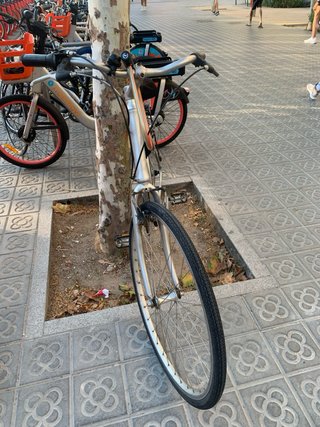 Bicicleta plateada buen estado.