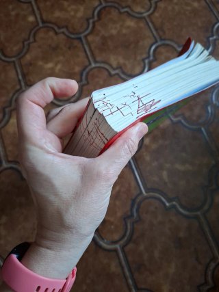 Básico Diccionario Didáctico de Español
